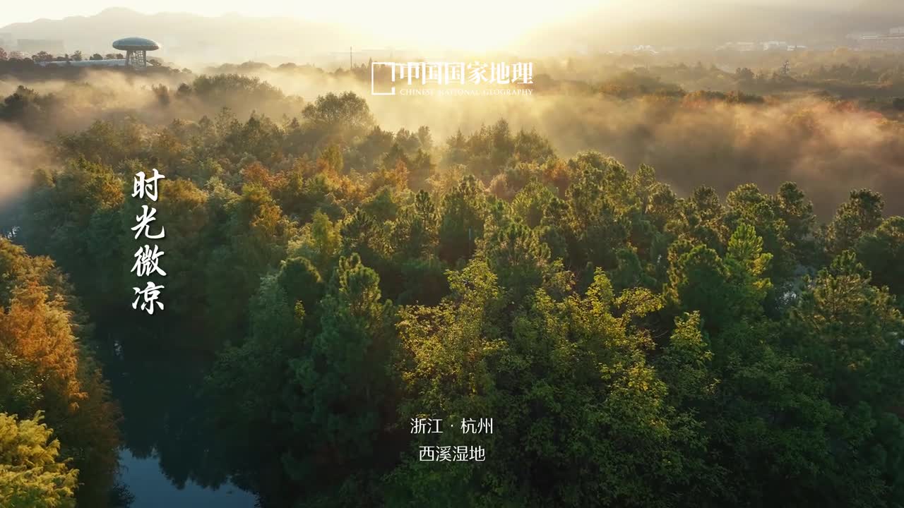 处暑暑尽凉生秋色渐染炎夏的炽热归于平静在微凉的时光里捕捉逐渐丰盛的秋意袅袅秋风起盈盈秋水长浮云凌波疏枝微颤一起在倏然流转的岁月里感受浅秋静美品味人间清欢