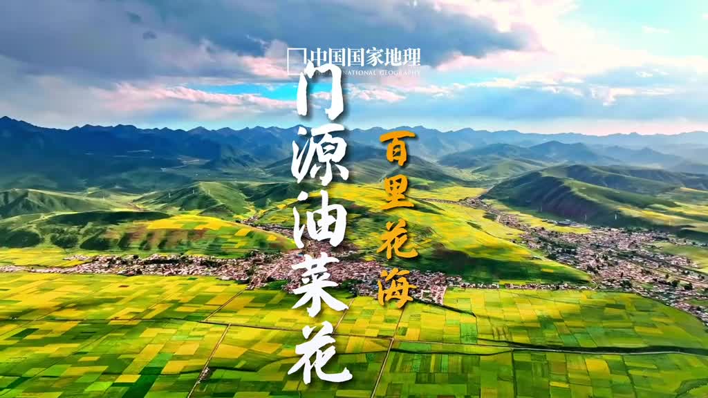 一年的油菜花事在这里达到鼎盛