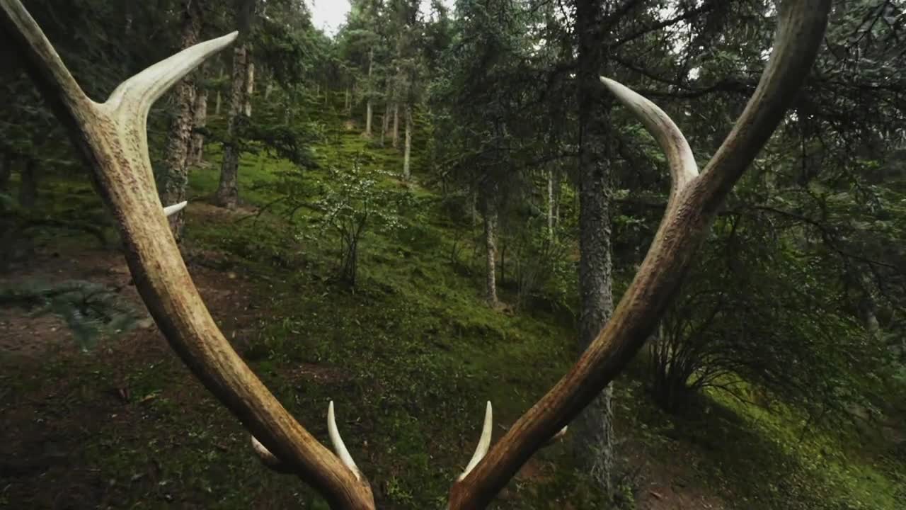 在肃南一县之内见天地肃南裕固族自治县地处甘肃省张掖市这片地域狭长的宝地紧紧依偎在祁连山脉北麓漫长的地质演变缔造出精彩纷呈的地貌集锦源源不断的雪山融水庇佑着万千生灵也编织出属于这片土地的传奇这处祁连山下的秘境在河西走廊上连接着四方融合了多元民族文化也沉淀下了灿烂丰厚的历史文化遗存祁连山的宠儿囊括万象河西走廊的明珠辉耀古今这就是肃南