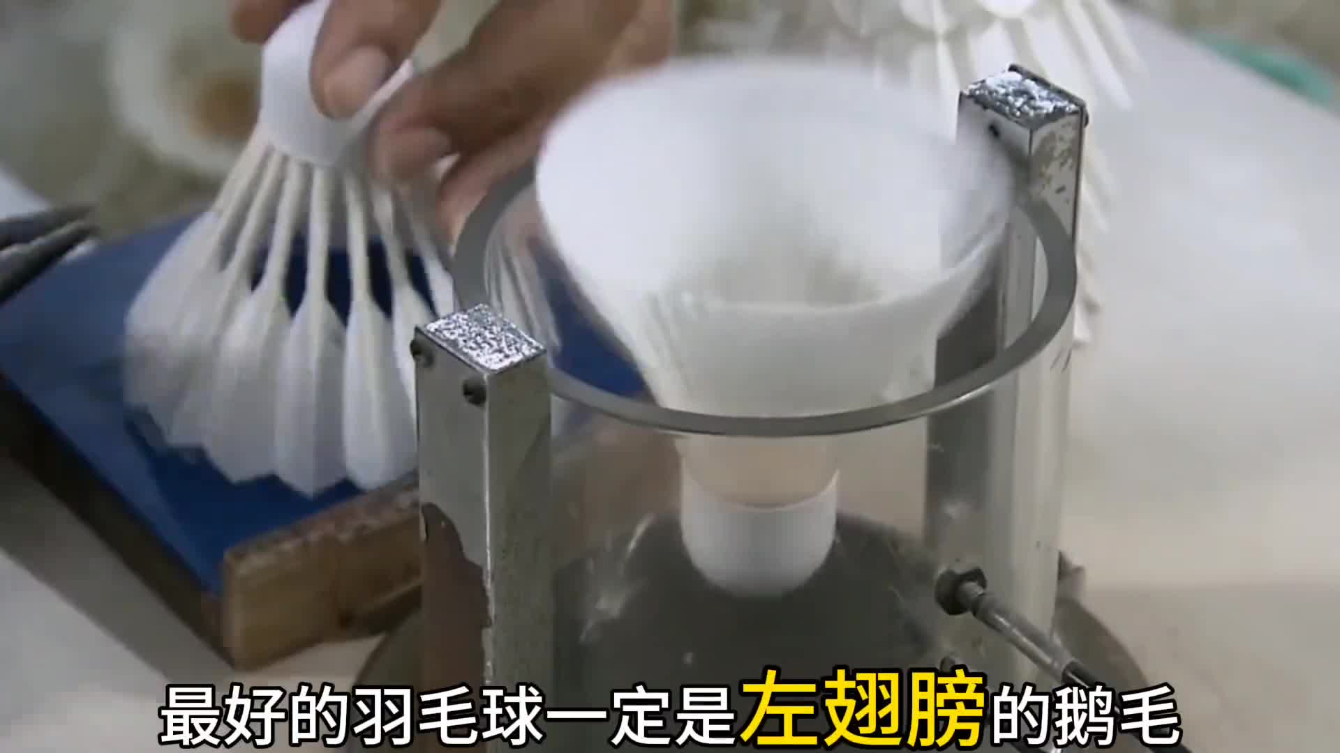 羽毛球你不知道的事