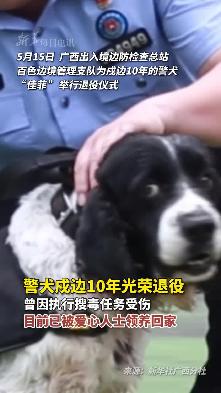 警犬戍边10年光荣退役曾因执行搜毒任务受伤目前已被爱心人士领养回家