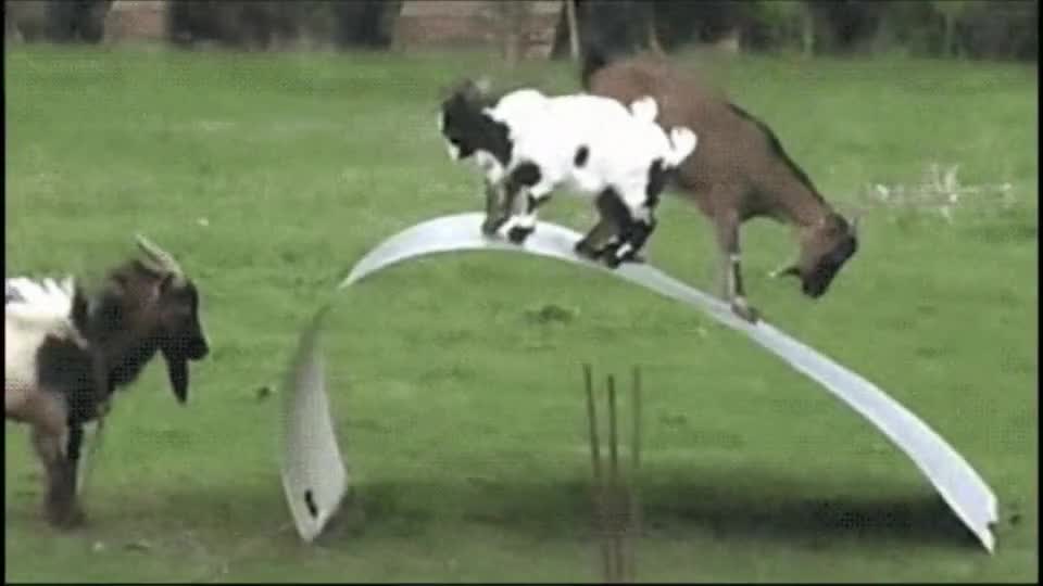 这是某钢板厂家请的专业第三方测试钢板屈服强度的ps皮一下很开心