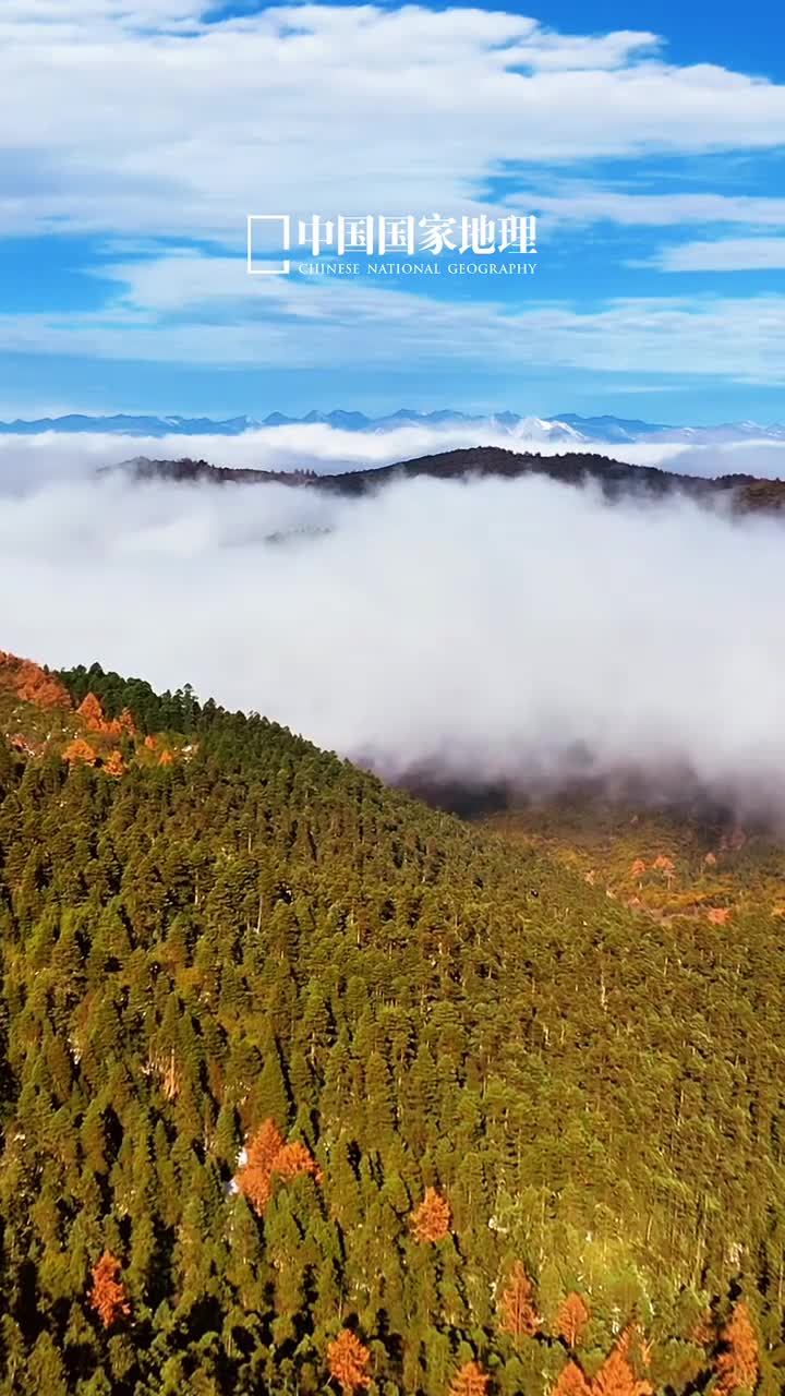 今日南方小年愿你诸行皆圆满福气常相伴今天是2025年1月23日甲辰年腊月二十四星期四新春序幕归途可期今日南方小年愿你诸行皆圆满福气常相伴