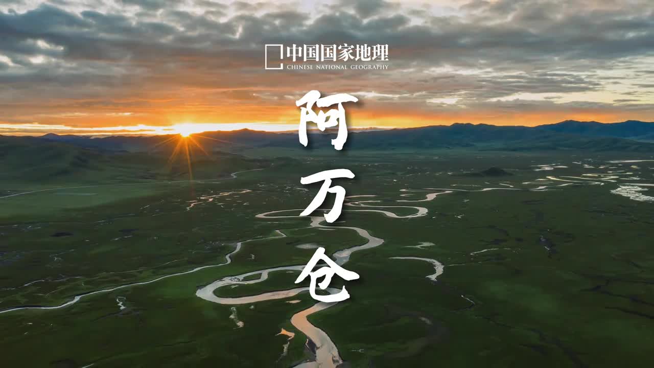 人生是旷野而非轨道