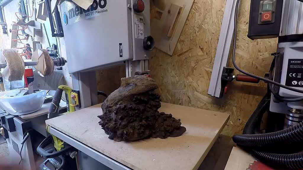 搞到一大块树瘤我以为要做个工艺品成品让我措手不及