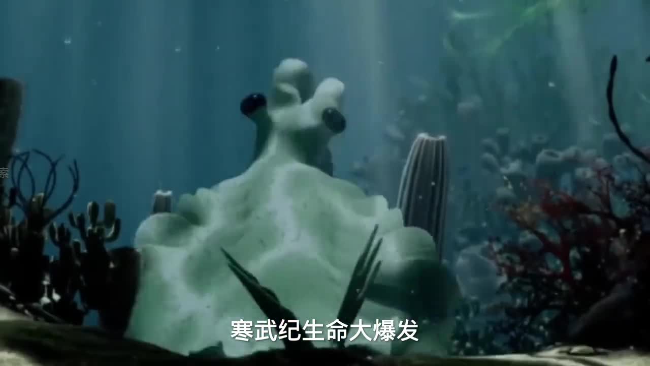 寒武纪生命大爆发地球演化史中的奇迹之作