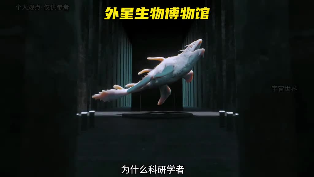 如果有外星生物他们会长成什么样子