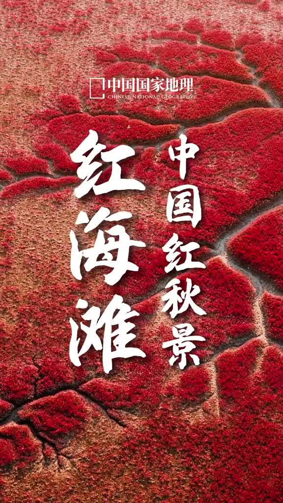 因为有梦所以勇敢出发选择出发便只顾风兼程朋友们光棍节快乐