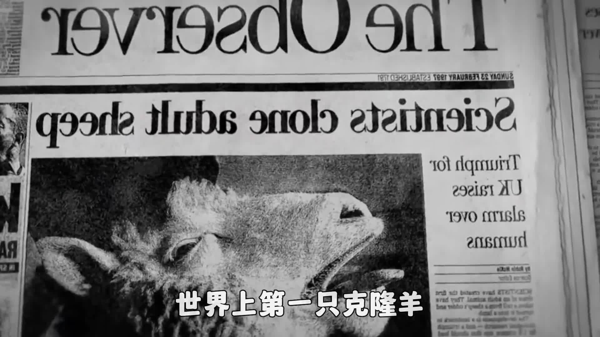 当年我们课本中的克隆羊多莉后来怎样了