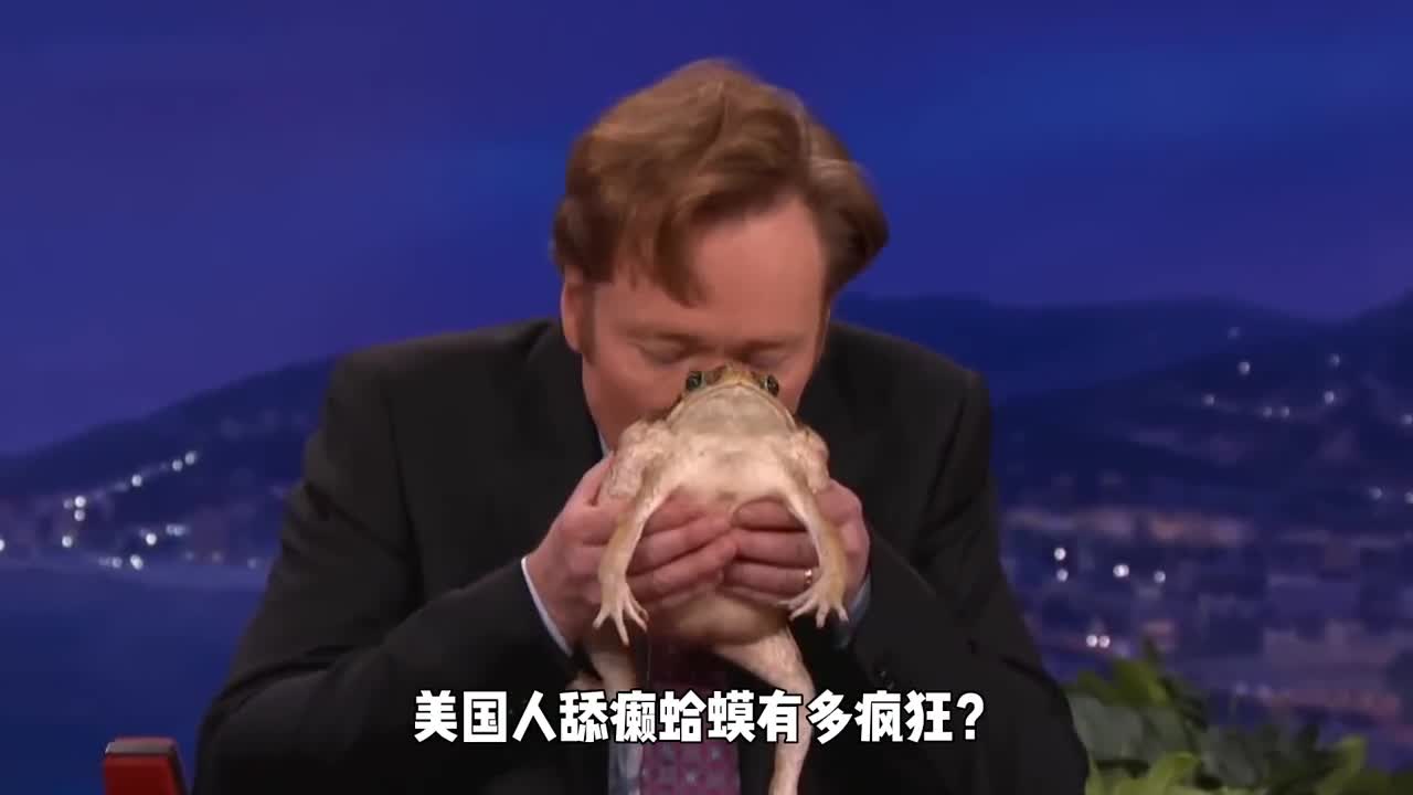 美国人舔癞蛤蟆有多疯狂上到56岁拳王下到2岁看门狗都在舔