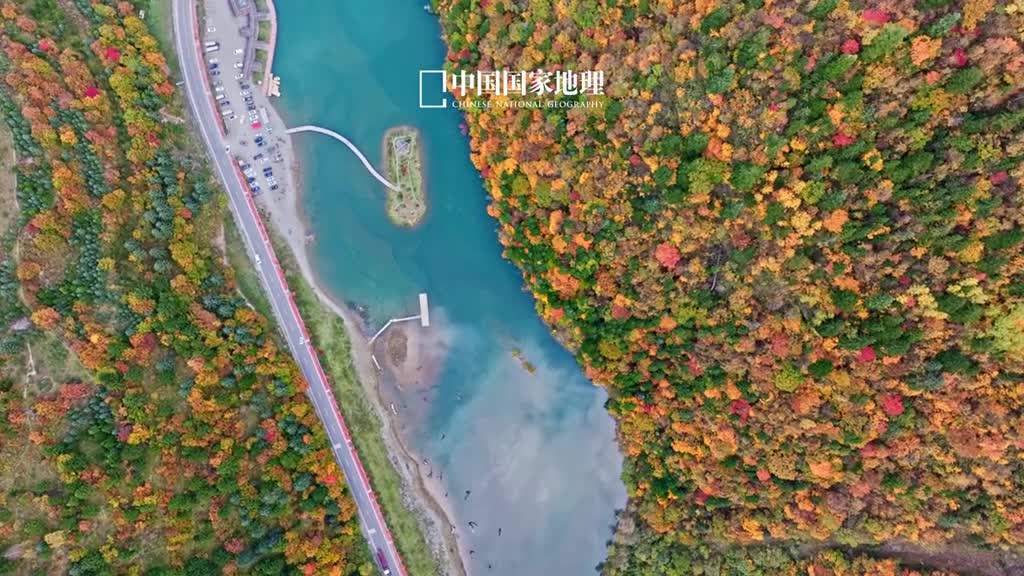 山明水净夜来霜数树深红出浅黄四川省阿坝州黑水县的秋日彩林如此明艳而秀美各种色彩的槭树成片金黄的落叶松和白桦红彤彤的花楸红褐色的四川特有树种四川红杉与一些常青树相映成画幽静山谷清澈的碧波悠悠荡漾让这里秋彩林的妆容愈加惊艳