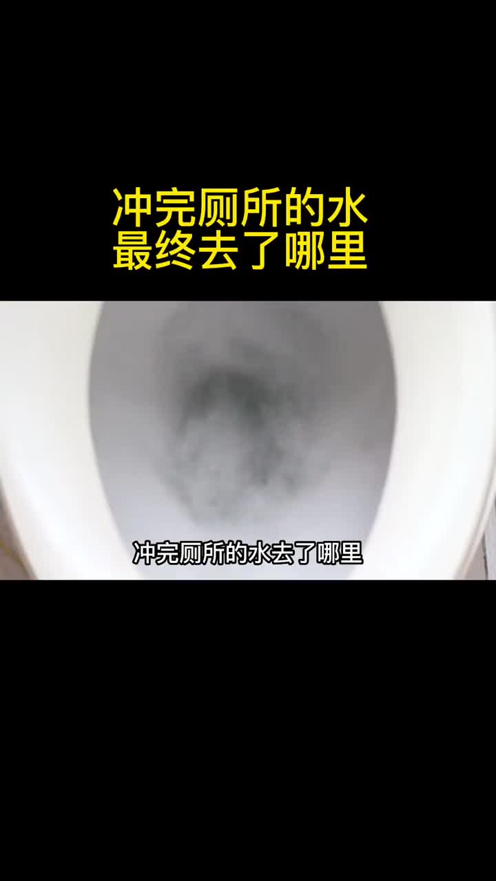 冲完厕所的水最终去了哪里