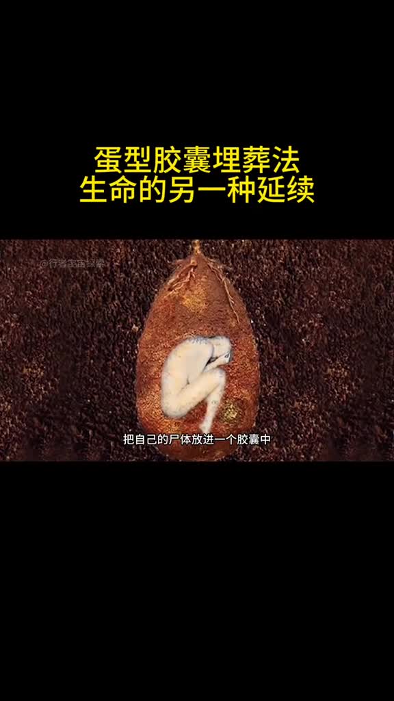 人体蛋型胶囊埋葬法生命的另一种延续