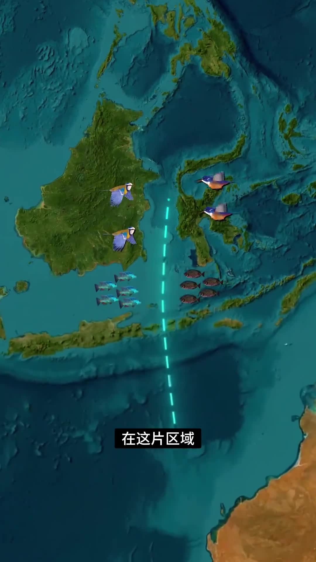 无形的边界分裂了生态系统