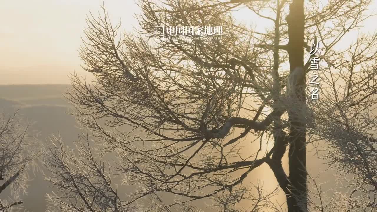 小雪以雪之名珍藏纯净明朗精灵般飞舞的雪花满足了人们对浪漫的想象置身于这梦幻天地仿佛一切烦恼都被消解殆尽世界也因此变得纯粹寂静小雪是美好且富有诗意的连名字都是如此轻盈可爱此时虽不一定降雪但随着冷空气的蔓延全国各地都将进一步感受到冬的气息来聊聊你向往的冬天是什么样子吧