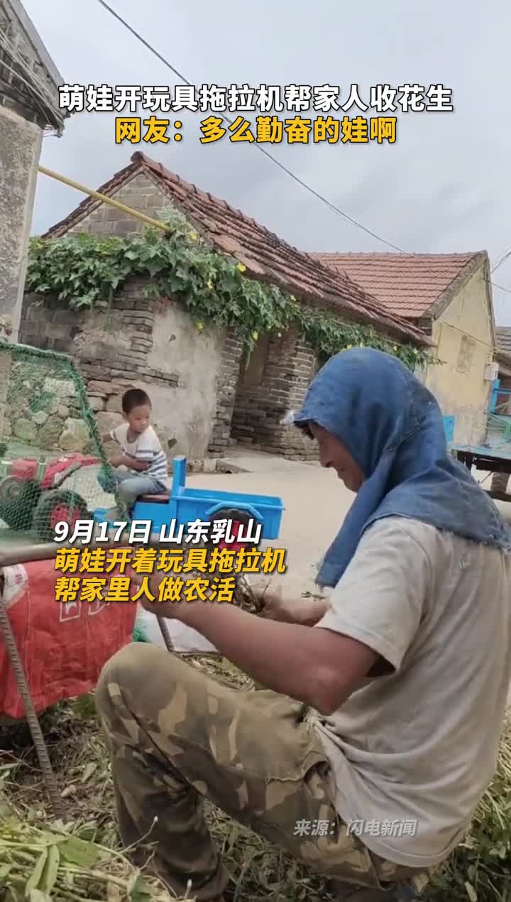 萌娃开玩具拖拉机帮家人收花生网友多么勤奋的娃啊