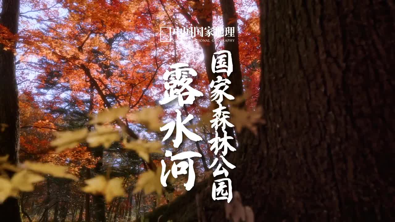 去东北赏秋不能错过这里这是一处藏在