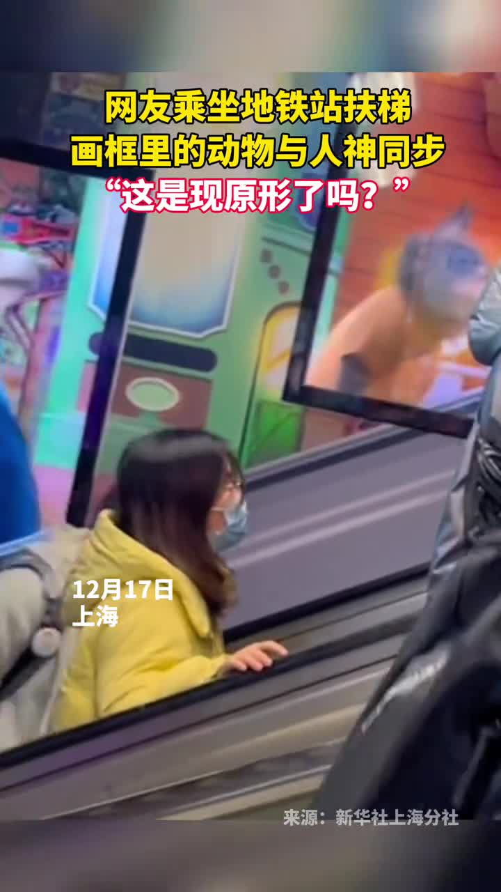 网友乘坐地铁站扶梯画框里的动物与人神同步这是现原形了吗