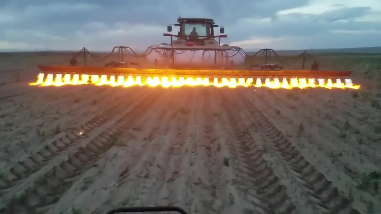 精准打击一小时能干掉10万颗野草激光除草你见过吗