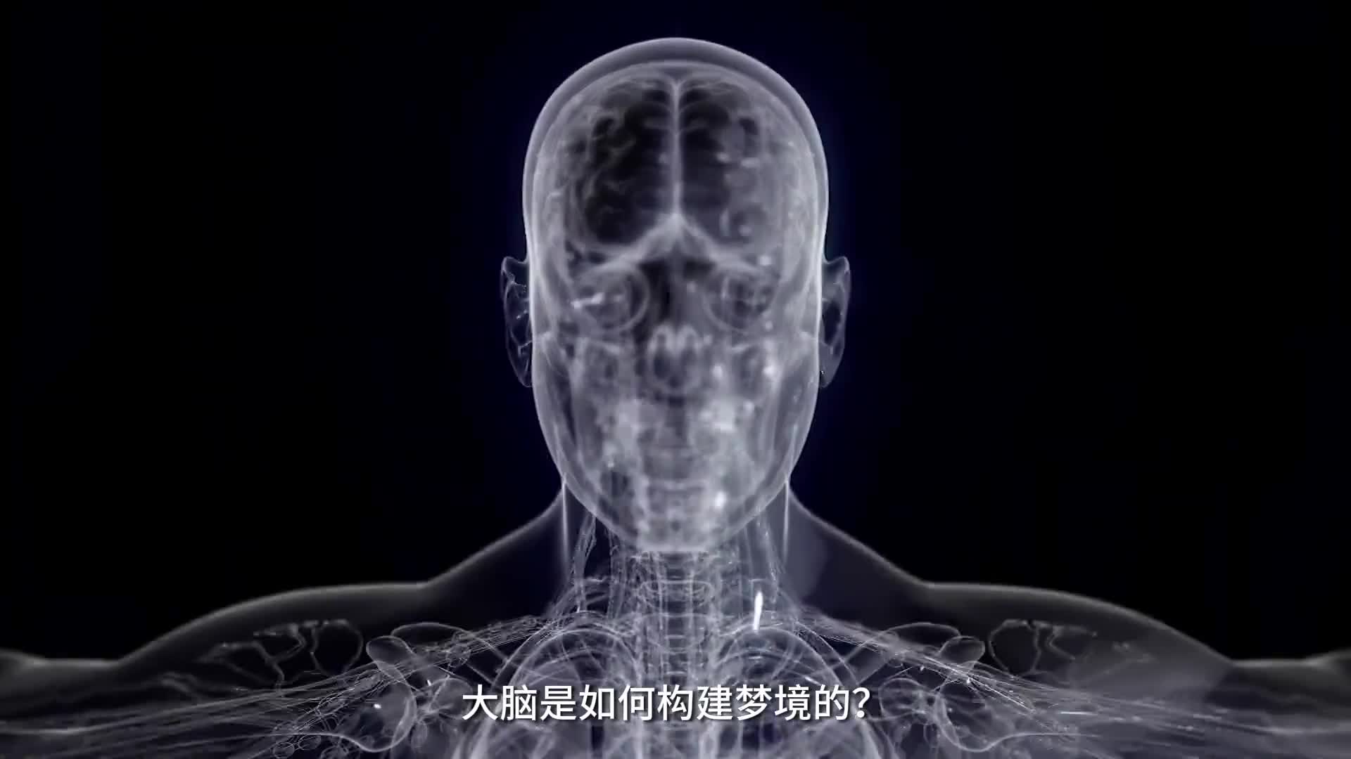 睡觉时你的大脑是如何制造梦境的带你看做梦的原理
