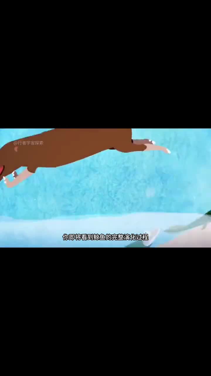 鲸鱼的演化史从狼一般大小演变成海洋巨兽