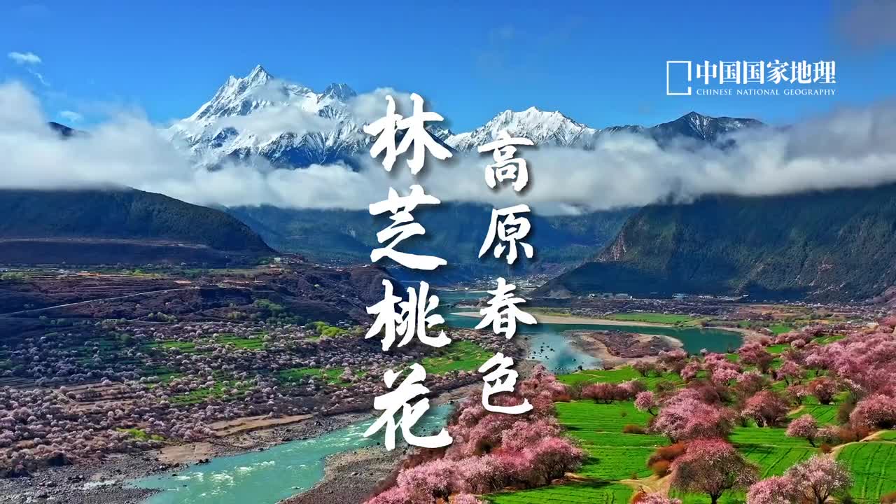 3月中下旬到4月中旬在雪域江南看桃花盛开林芝的桃花美名远播是著名的赏花胜地5000米以上的相对高度让南迦巴瓦的寒冬与雅鲁藏布江峡谷的春光相遇山峰深藏云中花海与人间烟火相连这方水土当真是得到神灵眷顾