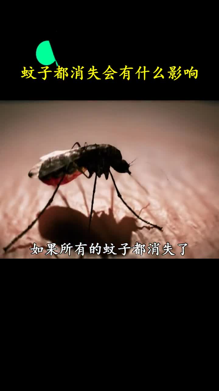 如果地球上蚊子都消失了会有什么影响这下可好少了一种美食