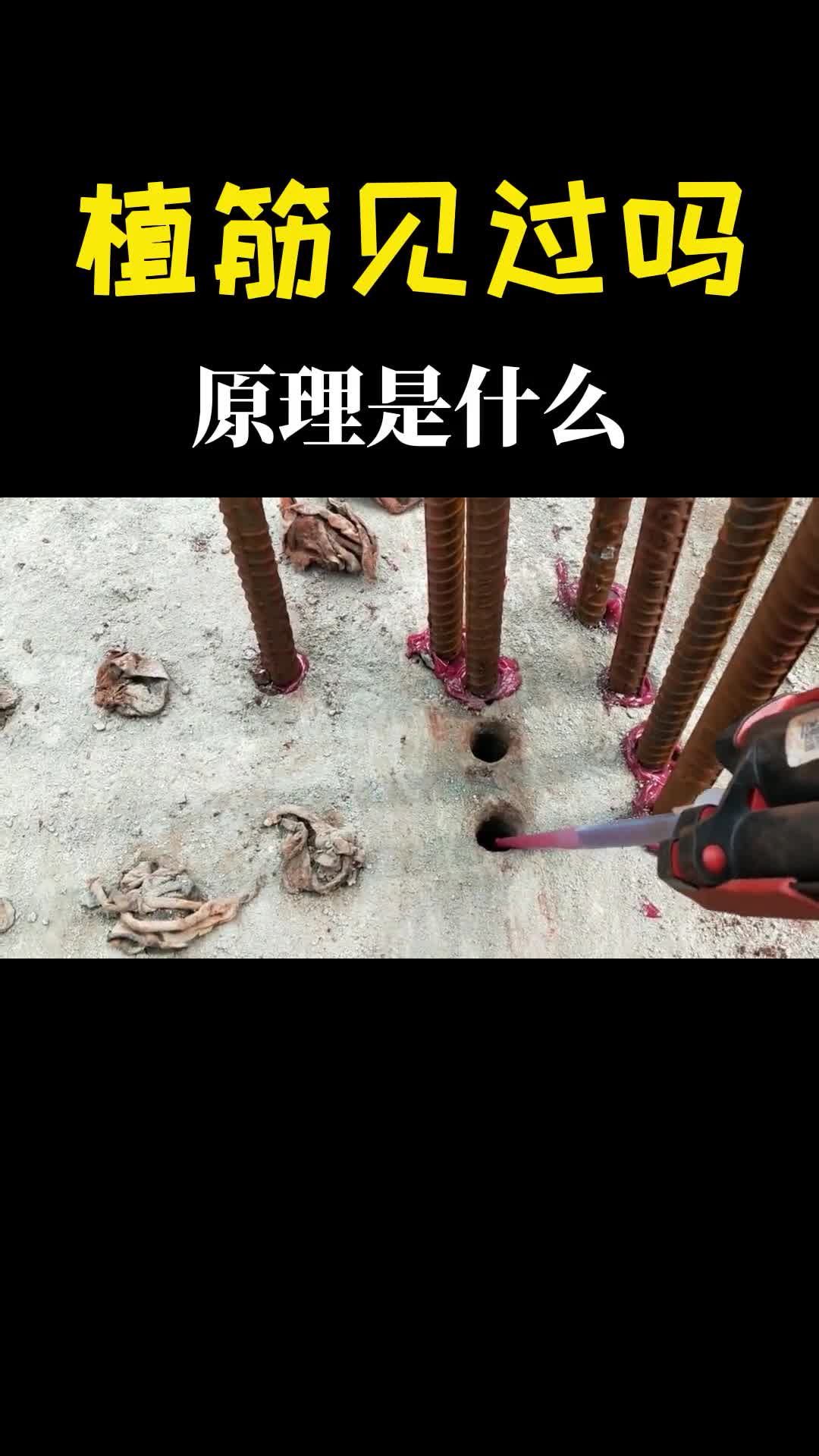 植筋是干什么的听过很多次却没见过这回搞明白了