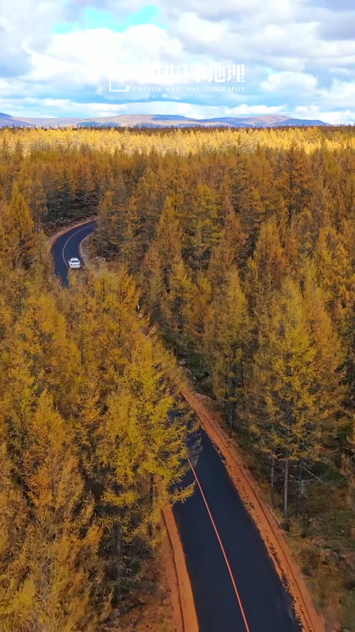 大兴安岭的秋天没有平替位于我国北部的大兴安岭在秋季迎来了最斑斓绚烂的景观金风拂过层林尽染大兴安岭的山峦以极为柔和的姿态从眼前铺陈至天边一幅幅大气磅礴叠翠流金的自然图景徐徐展开