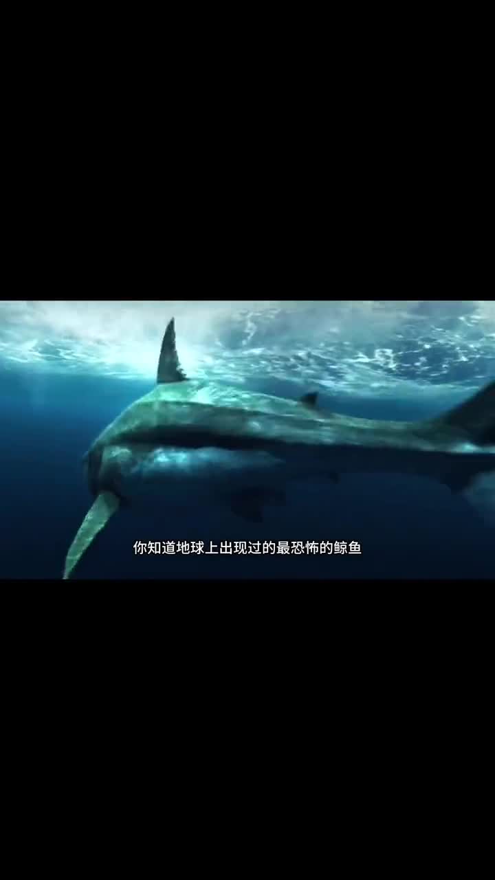 梅氏利维坦鲸能与巨齿鲨叫板的远古海洋巨兽