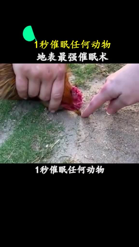 确实挺好用的我对狗熊试了下就是有点费手