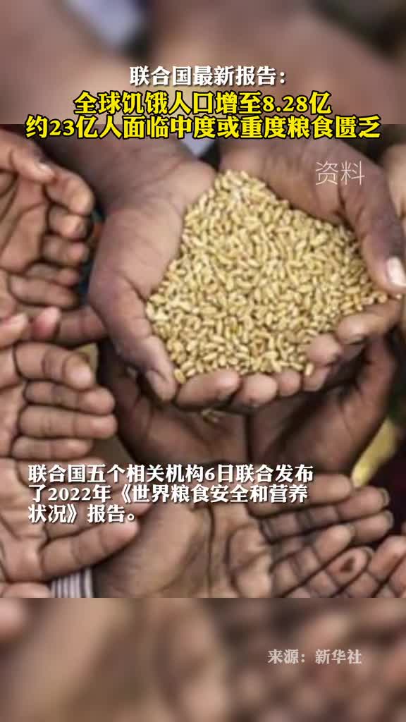 联合国最新报告全球饥饿人口增至828亿约23亿人面临中度或重度粮食匮乏