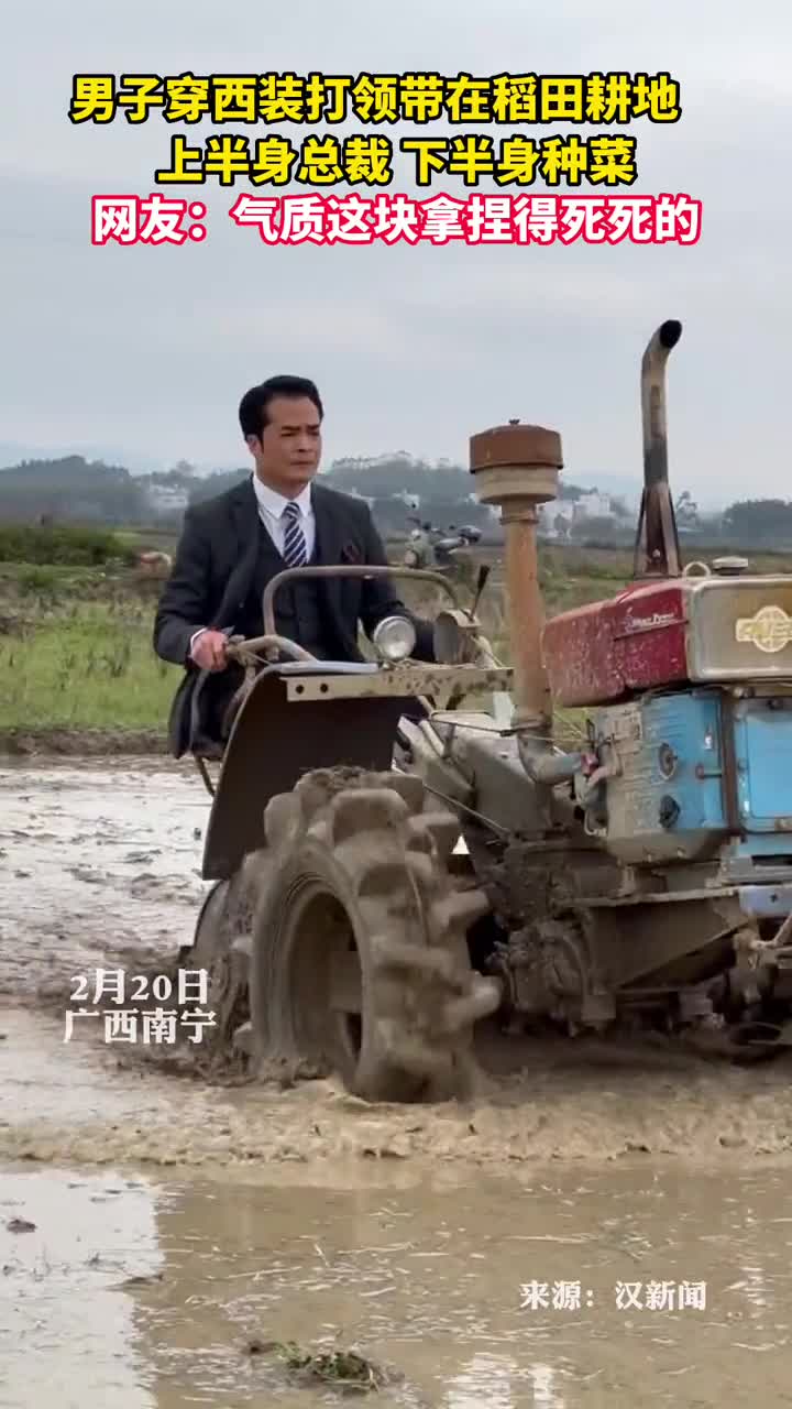 男子穿西装打领带在稻田耕地上半身总裁下半身种菜网友气质这块拿捏得死死的