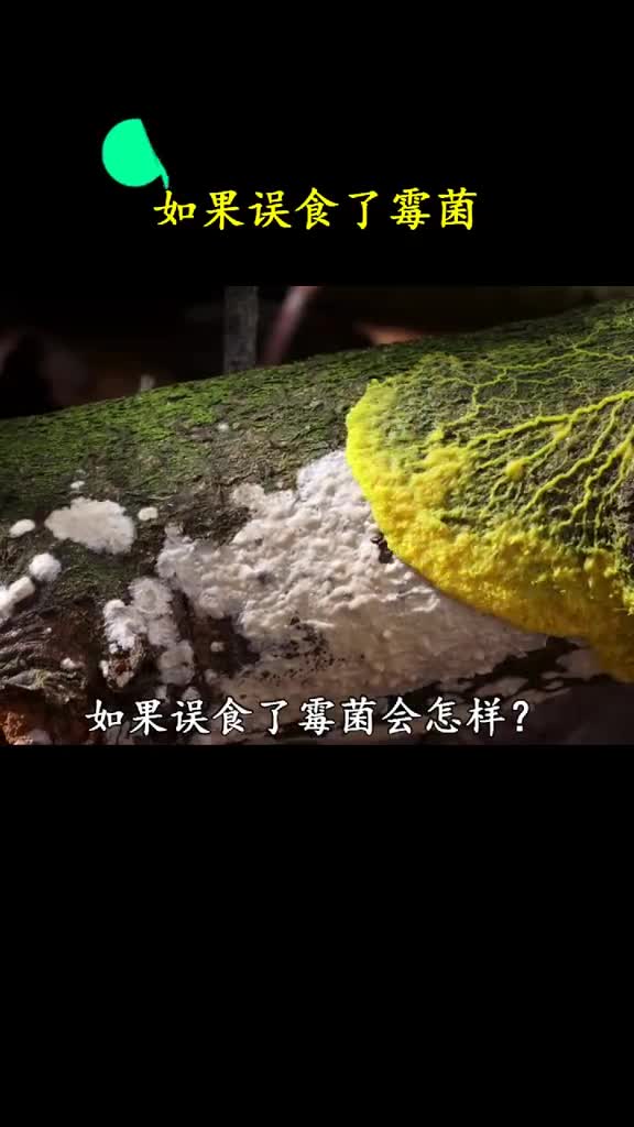 如果不小心误食了霉菌会发生什么