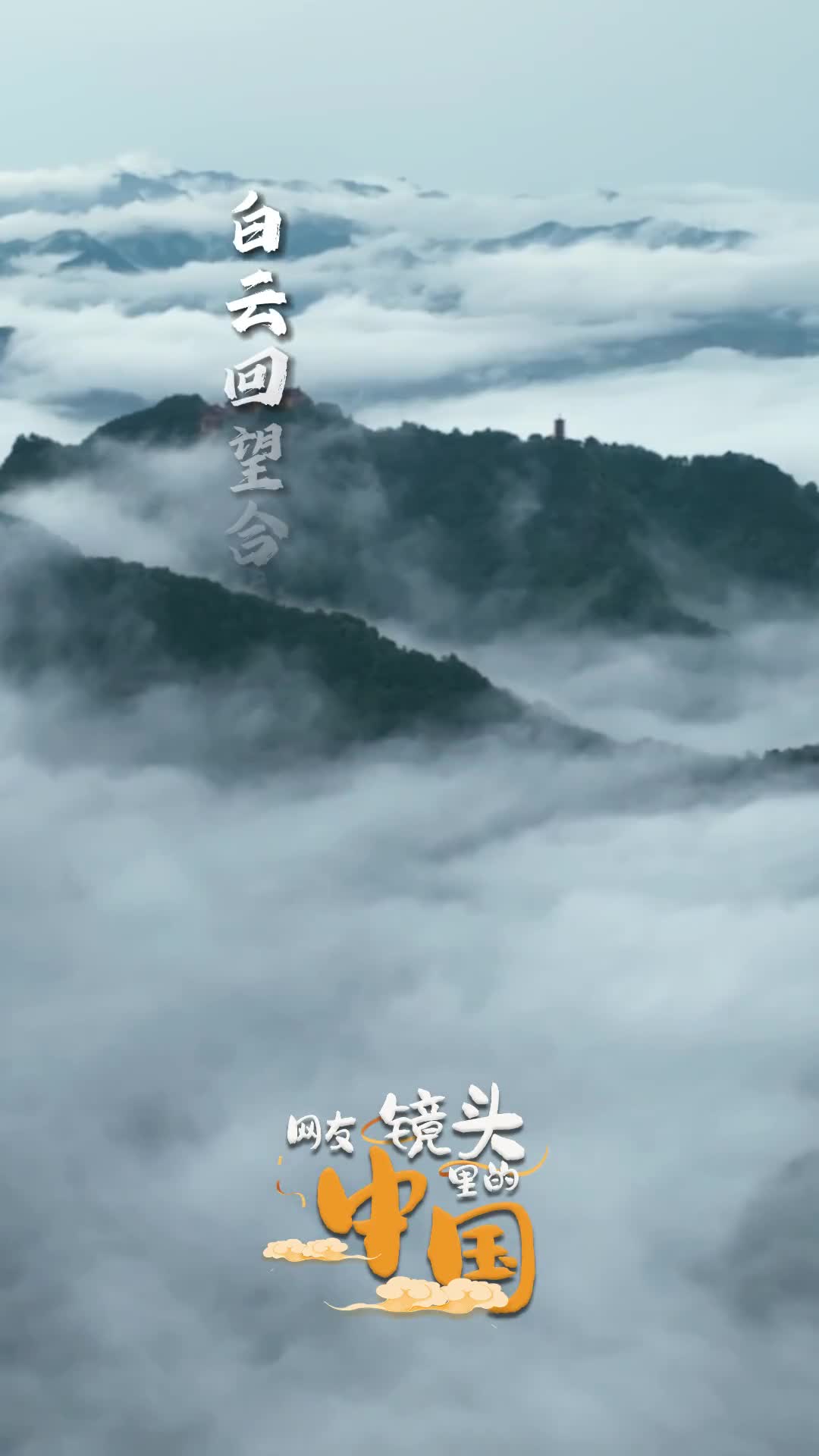 白云回望合青霭入看无