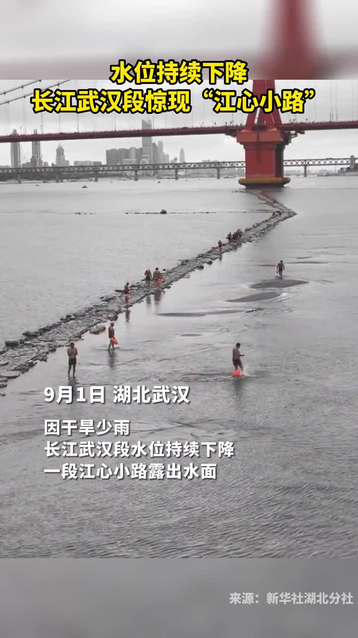 罕见长江武汉段八月惊现江心小路