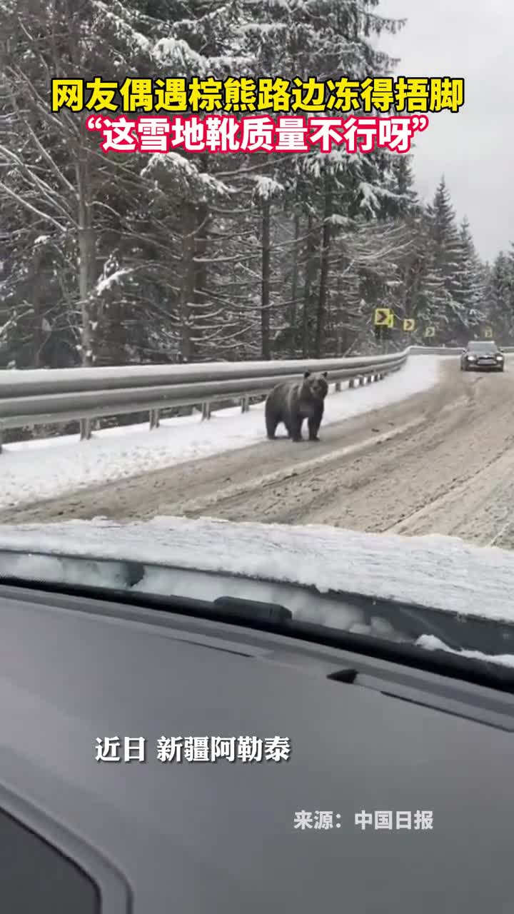 网友偶遇棕熊路边冻得捂脚这雪地靴质量不行呀