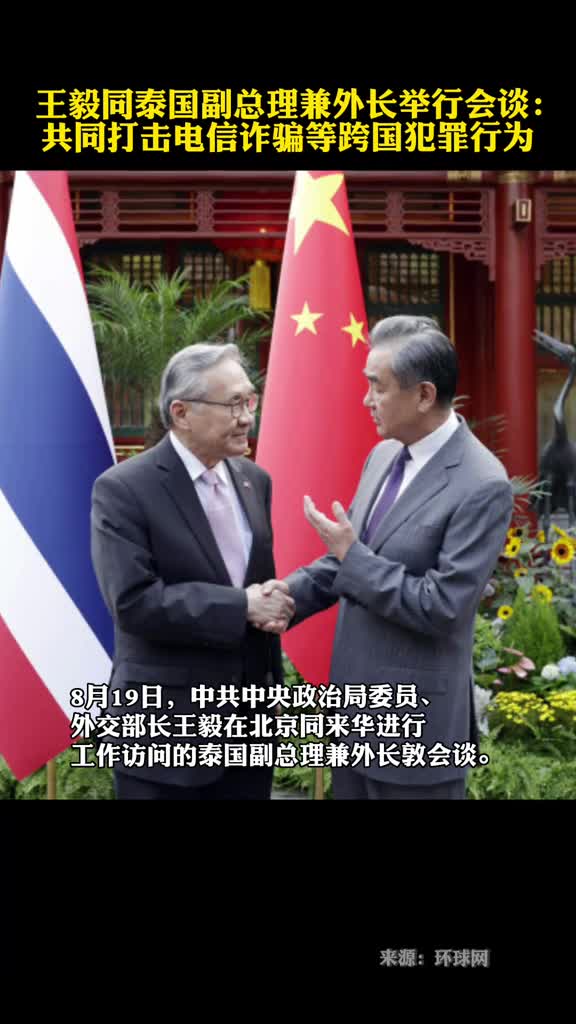 王毅同泰国副总理兼外长举行会谈共同打击电信诈骗等跨国犯罪行为