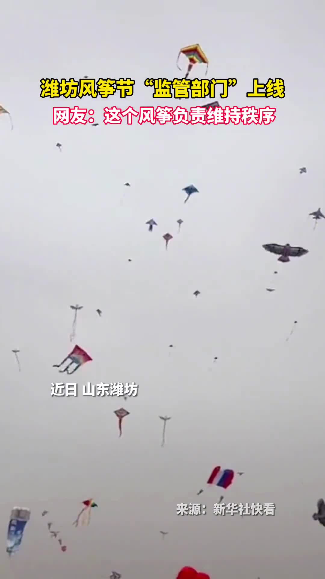 潍坊风筝节监管部门上线网友这个风筝负责维持秩序