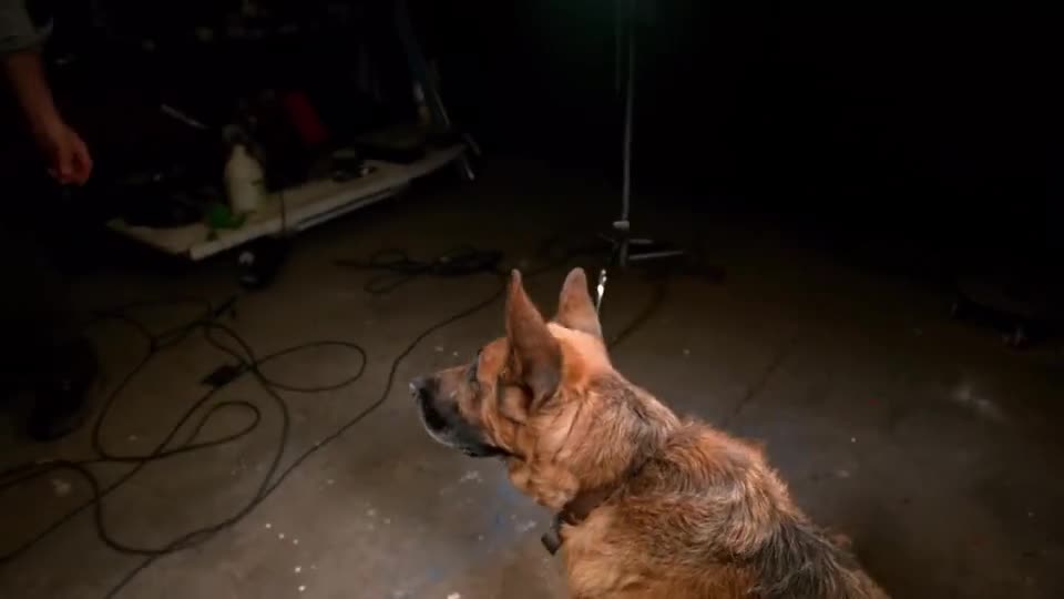 慢镜头下不一样的感觉