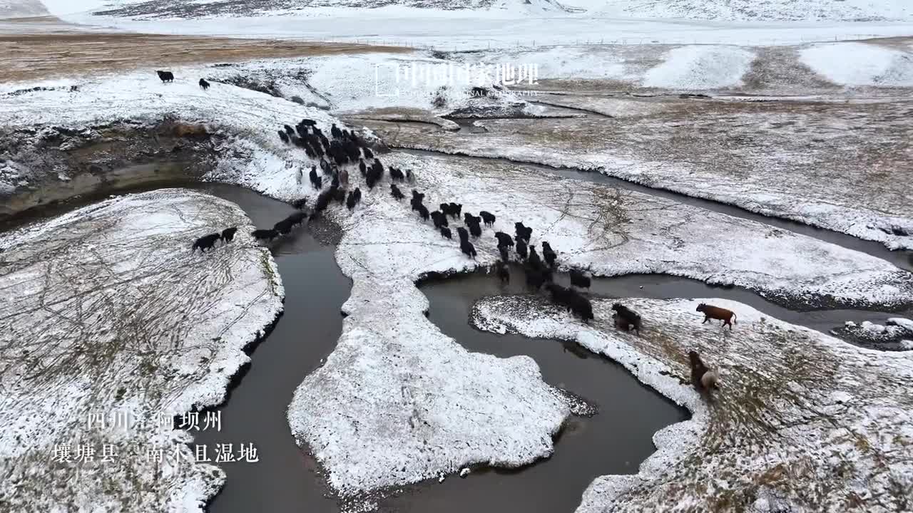 世界上独一无二的青藏高原湿地美如画2018年壤塘县东北部的南莫且湿地保护区升级为国家级自然保护区这里是大渡河一级支流则曲河的发源地这里的高山之上积水成湖坐拥壮观的高山天然湖泊群这里更被誉为世界上独一无二的青藏高原湿地是众多野生动植物的天然乐园