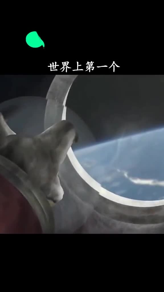 小狗进入太空后它该有多绝望啊