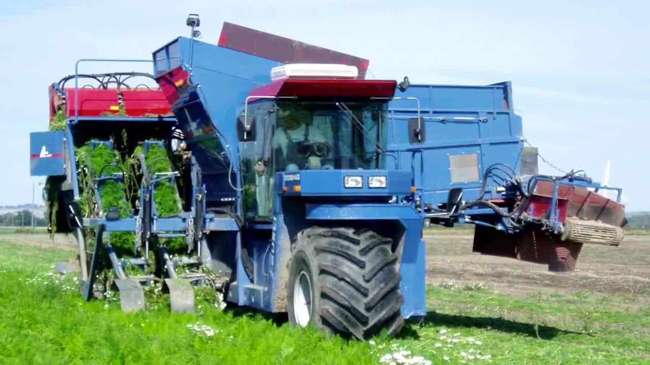 胡萝卜排队收割大法抖音小助手