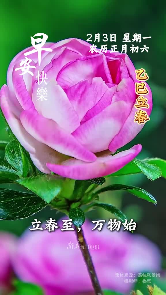 立春至万物始风渐暖花将开今天是立春节气祝您和家人迎春启程向阳而行早安