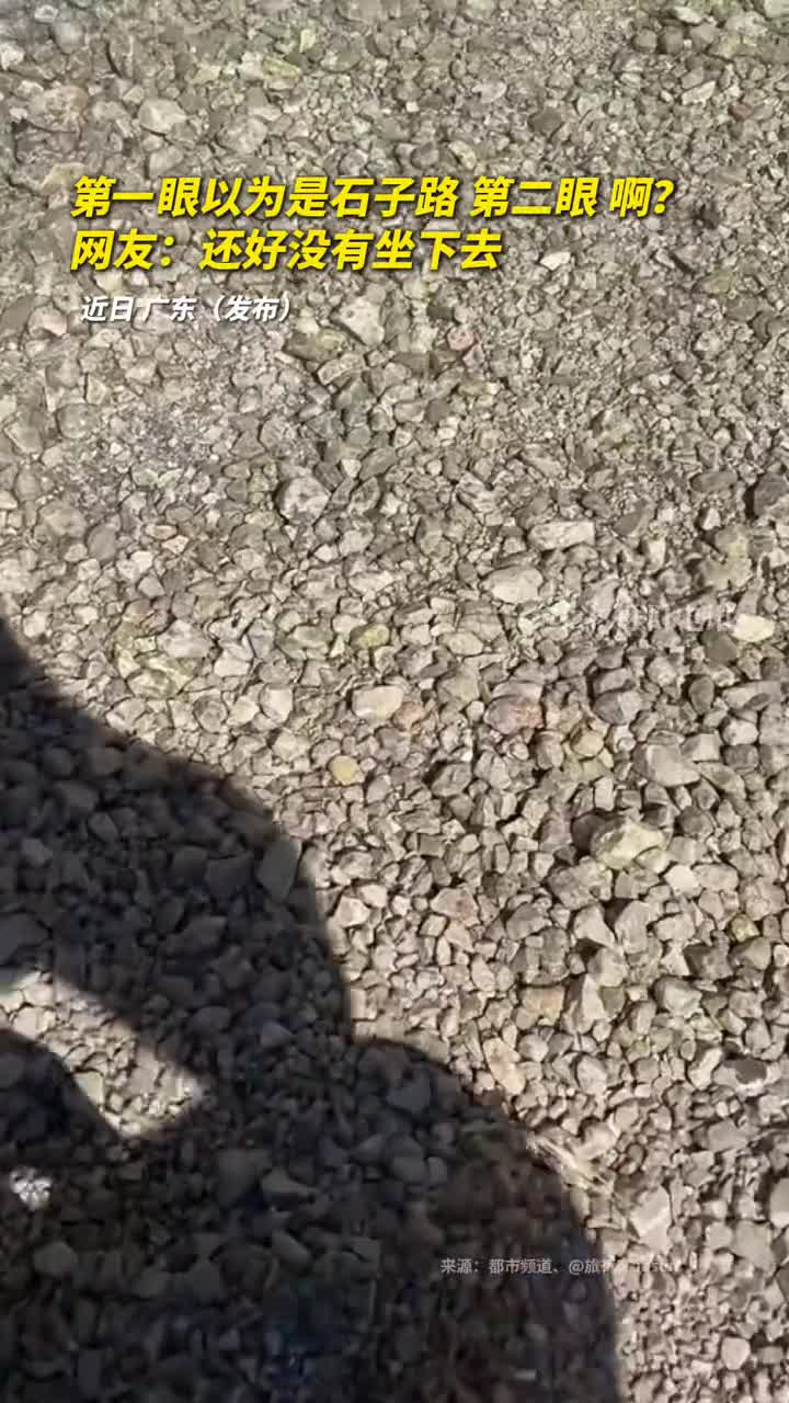第一眼以为是石子路第二眼啊网友还好没有坐下去