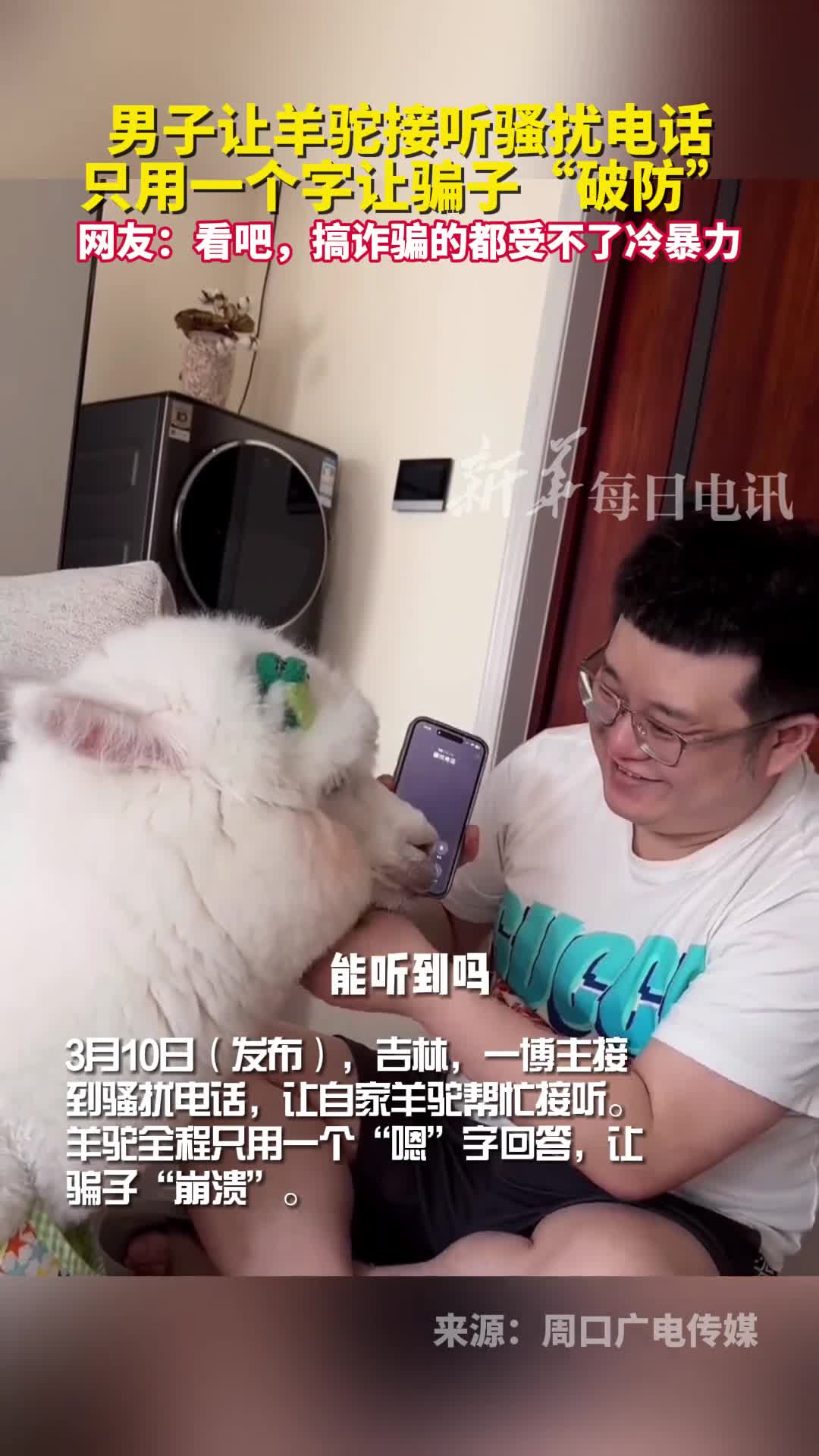 男子让羊驼接听骚扰电话只用一个字让骗子破防