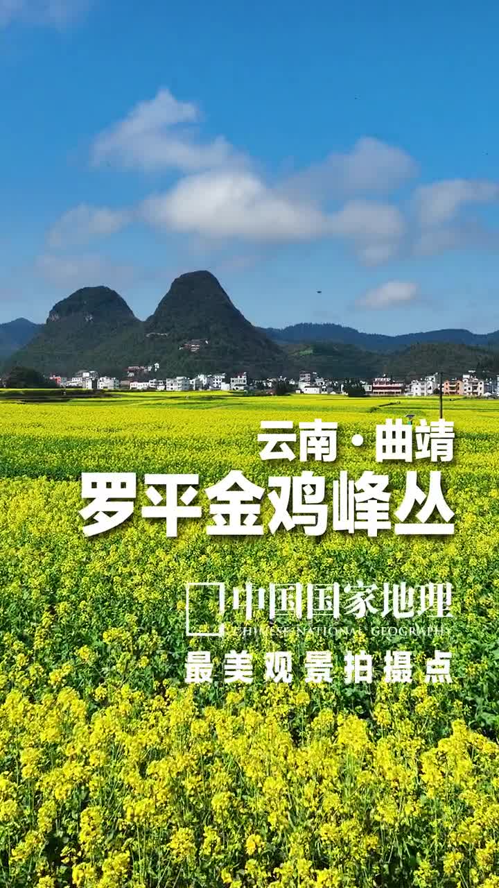 云南曲靖罗平金鸡峰丛罗平地处滇黔桂交界地带素有滇东门户滇黔锁钥之称这里的春天是金黄色的遍地油菜花竞相怒放铺就了一望无垠的金色花海如大窝头般的喀斯特锥形峰像一座座浮动在花海里的岛屿青山白云间还有散布着田园人家岁月静好悠然惬意