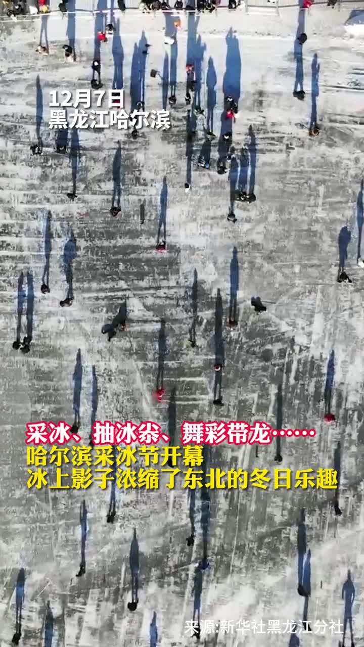 采冰抽冰尜舞彩带龙哈尔滨采冰节开幕