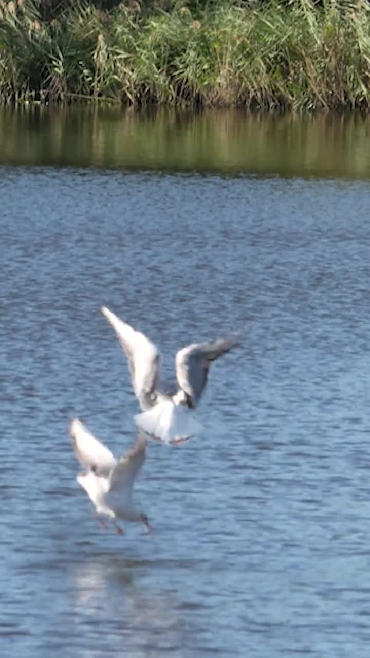 纵横天地间逐梦金沙滩辽宁平安产险2024沈阳康平金沙滩国家沙漠公园越野拉力赛火热开赛