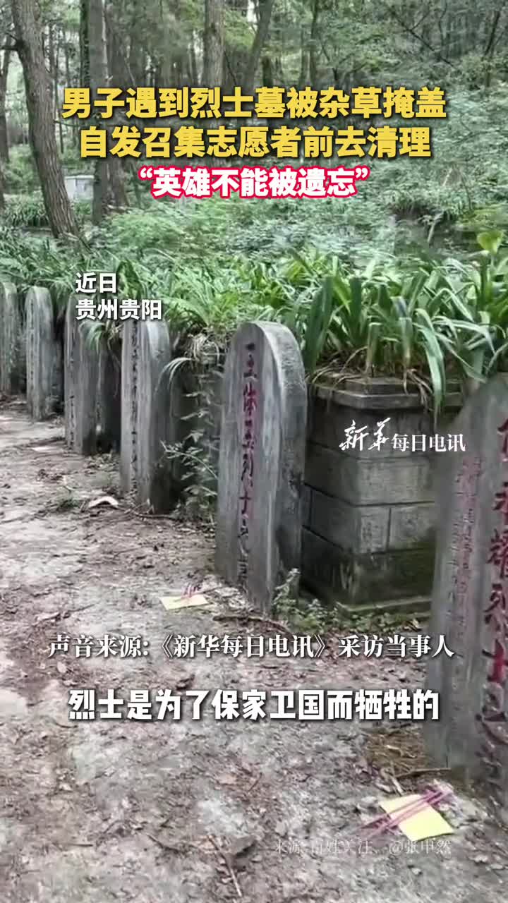男子遇到烈士墓被杂草掩盖自发召集志愿者前去清理英雄不能被遗忘